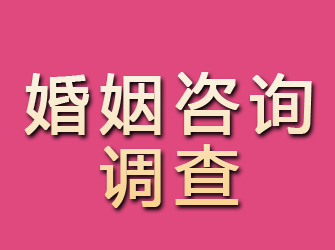 从化婚姻咨询调查